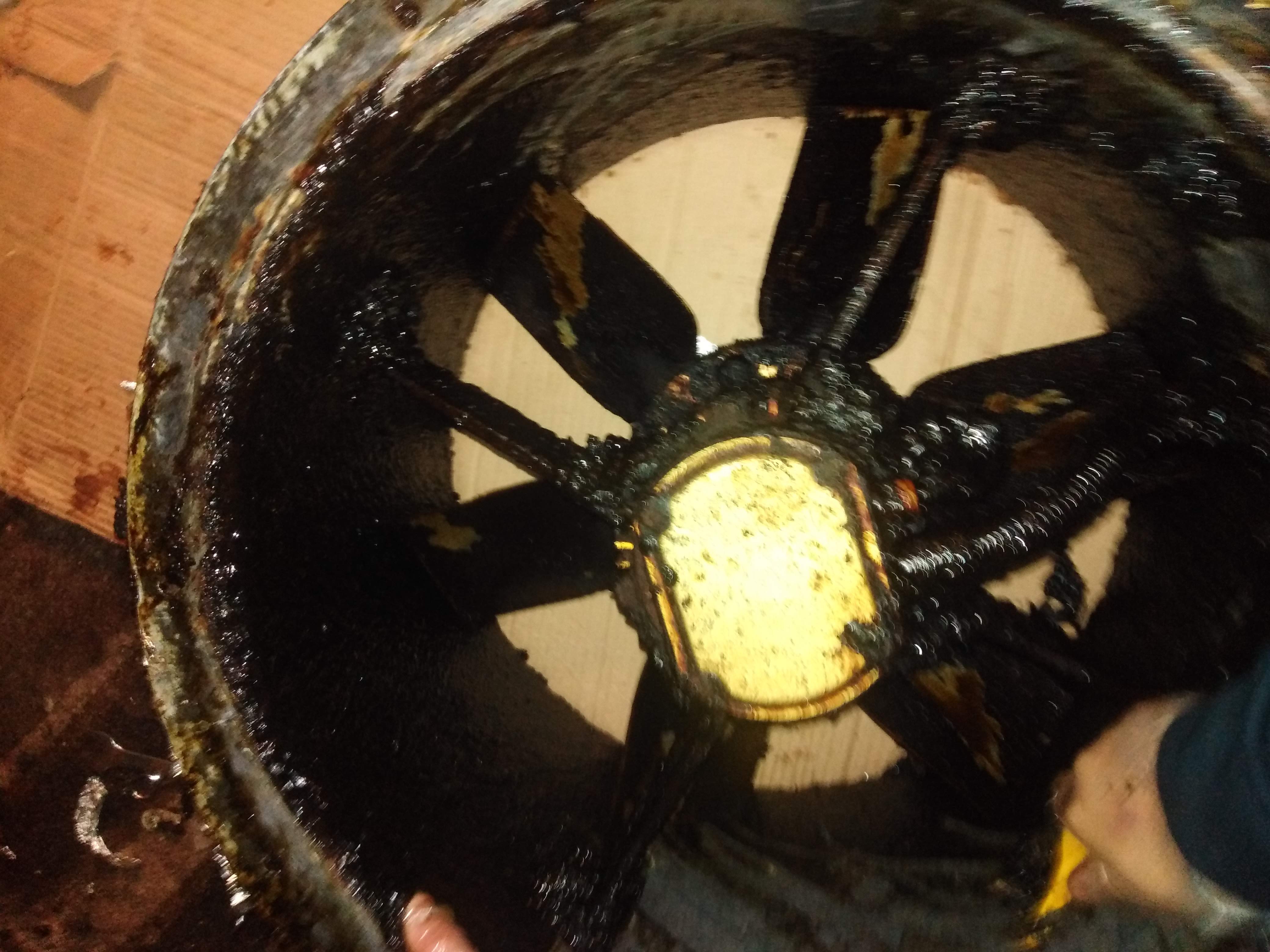 Before cleaning